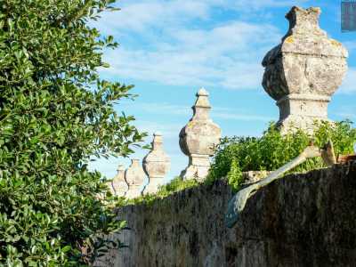 Questi ultimi venivano un tempo utilizzati per abbellire balconi e balaustre e rappresentano un simbolo di prosperit�